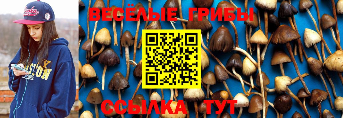 Свободный  Галлюциногенные грибы мицелий  Галлюциногенные грибы ЛСД  Вход с VPN 
