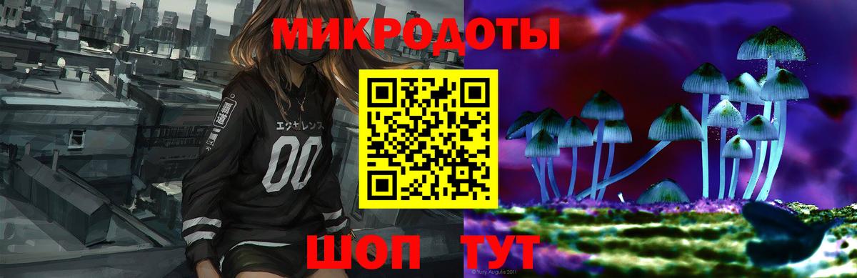 Галлюциногенные грибы Cubensis Свободный